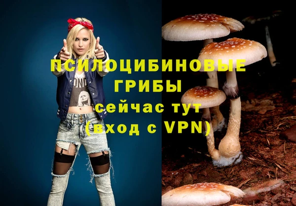 стафф Навашино