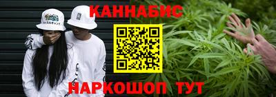 крисы Будённовск
