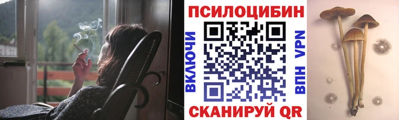 Псилоцибиновые грибы прущие грибы  Ирбит 